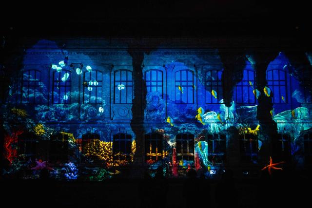 This photograph shows a 3D mapping of an underwater scene projected onto a building during the press preview of the exhibition entitled "Lights of Nature" at the Jardin des Plantes in Paris, on November 5, 2025. (Photo by Dimitar DILKOFF / AFP)