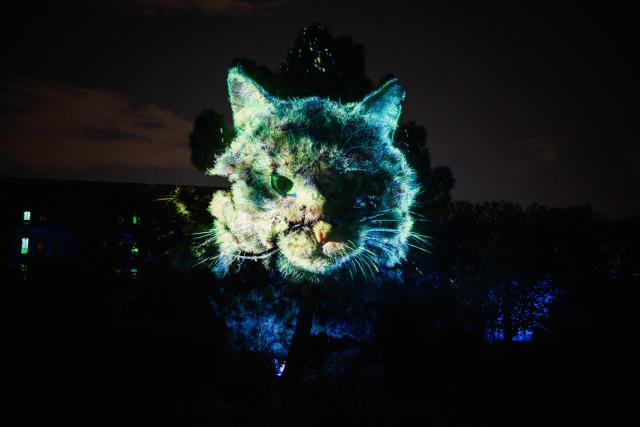 This photograph shows a 3D mapping of a cat projected during the press preview of the exhibition entitled "Lights of Nature" at the Jardin des Plantes in Paris, on November 5, 2025. (Photo by Dimitar DILKOFF / AFP)