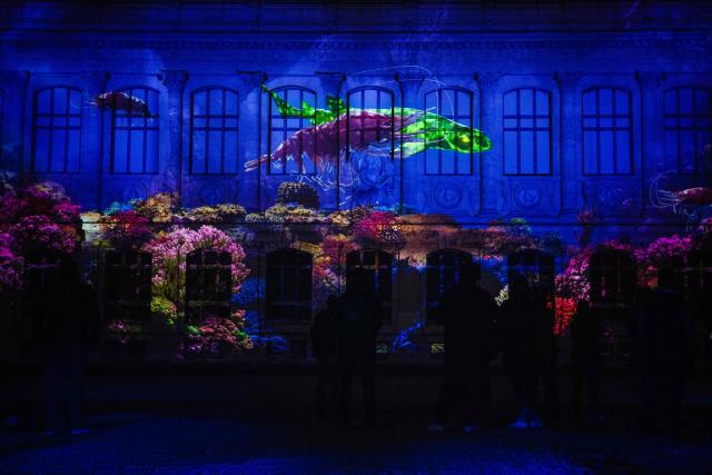 This photograph shows a 3D mapping of an underwater scene projected onto a building during the press preview of the exhibition entitled "Lights of Nature" at the Jardin des Plantes in Paris, on November 5, 2025. (Photo by Dimitar DILKOFF / AFP)