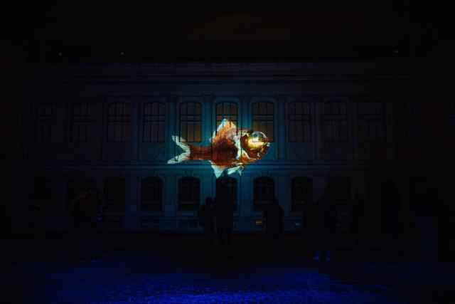 This photograph shows a 3D mapping of a goldfish projected onto a building during the press preview of the exhibition entitled "Lights of Nature" at the Jardin des Plantes in Paris, on November 5, 2025. (Photo by Dimitar DILKOFF / AFP)