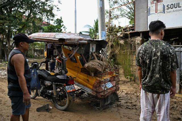 A pig covered in mud is seen tied up at the back of a tricycle in the aftermath of Typhoon Kalmaegi in Liloan, in the province of Cebu on November 6, 2025. The death toll from Typhoon Kalmaegi in the central Philippines climbed past 100, as the devastating impact on Cebu province became clearer after the worst flooding in recent memory. (Photo by Jam STA ROSA / AFP)