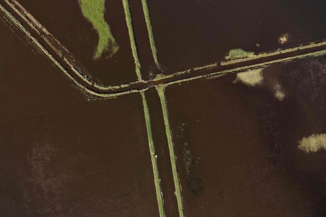 TOPSHOT - This aerial view shows a flooded field due to heavy rains in 9 de Julio, Buenos Aires province, Argentina on November 5, 2025. (Photo by Luis ROBAYO / AFP)