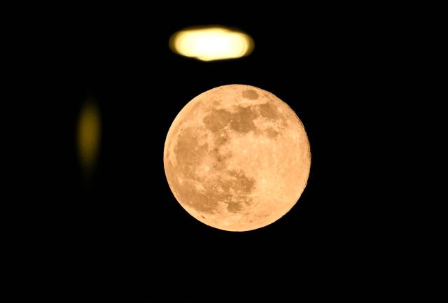 The full moon, known as the “Beaver Moon,” is seen under a lamp in Mexico City on November 5, 2025. (Photo by Yuri CORTEZ / AFP)