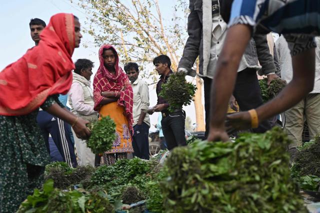 A vendor (C) gestures as she waits for customers at a vegetable market in New Delhi on November 7, 2025. (Photo by Arun SANKAR / AFP)