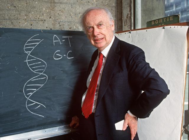 (FILES) Picture taken on April 23, 1993 in Paris of American geneticist James Dewey Watson in front of a blackboard, explaining his work to discover the molecular structure on DNA for which he shared the 1962 Physiology and Medicine Nobel Prize with British Francis Crick and Maurice Wilkins. James Watson -- the Nobel laureate co-credited with the pivotal discovery of DNA's double-helix structure, but whose career was later tainted by his repeated racist remarks -- has died, his former lab said on November 7, 2025. He was 97. (Photo by DANIEL MORDZINSKI / AFP)