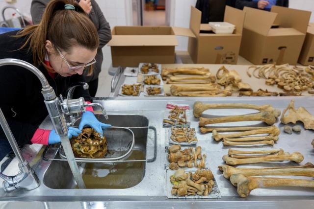 Employees and volunteers carry out anthropological work for the first phase of exhumation of victims of repression during the Spanish Civil War and the Franco regime in the mass grave of the cemetery of Ejea de los Caballeros, in Ejea de los Caballeros, in Zaragoza Province, on October 28, 2025. Spain marks the 50th anniversary of Franco's death on November 20, 1975. His regime honoured its own dead in the Spanish Civil War and left its opponents buried in unmarked graves across the country. The few surviving children of victims race against time to recover and identify the remains of their parents through DNA testing. There are over 3,300 mass graves from the Civil War and about 140,000 missing persons. (Photo by Cesar MANSO / AFP)