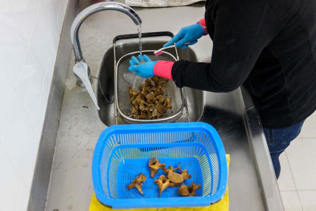 Employees and volunteers carry out anthropological work for the first phase of exhumation of victims of repression during the Spanish Civil War and the Franco regime in the mass grave of the cemetery of Ejea de los Caballeros, in Ejea de los Caballeros, in Zaragoza Province, on October 28, 2025. Spain marks the 50th anniversary of Franco's death on November 20, 1975. His regime honoured its own dead in the Spanish Civil War and left its opponents buried in unmarked graves across the country. The few surviving children of victims race against time to recover and identify the remains of their parents through DNA testing. There are over 3,300 mass graves from the Civil War and about 140,000 missing persons. (Photo by Cesar MANSO / AFP)