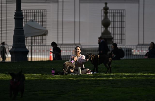 A woman pats her dogs in front of La Moneda Presidential palace in Santiago on November 10, 2025. Chile will hold presidential election on November 16. (Photo by Marvin RECINOS / AFP)