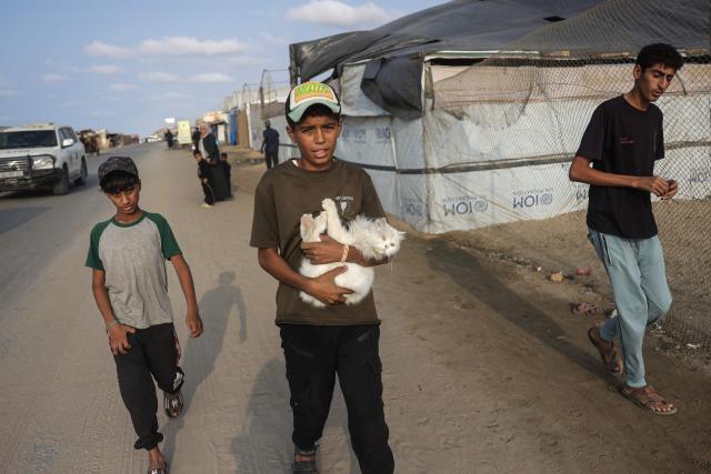 Hamad Ahmed Mansour (C), whose hobby is raising animals, walks with his cat in Deir al-Balah on November 11, 2025. After two years of war, Gaza's public services are crippled, the territory is buried under more than 61 million tonnes of debris and has severe shortages of food, medicine and fuel. UN agencies and humanitarian groups have repeatedly called on Israel to allow more aid into Gaza, while Israel has blamed shortages on mismanagement of supplies on the ground and looting. (Photo by Bashar Taleb / AFP)