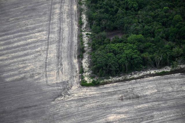 This aerial view shows a deforested area of the Amazon rainforest prepared for plantation in the surroundings of Belem, Para State, Brazil, on November 12, 2025, during the COP30 UN Climate Change Conference. (Photo by Mauro PIMENTEL / AFP)