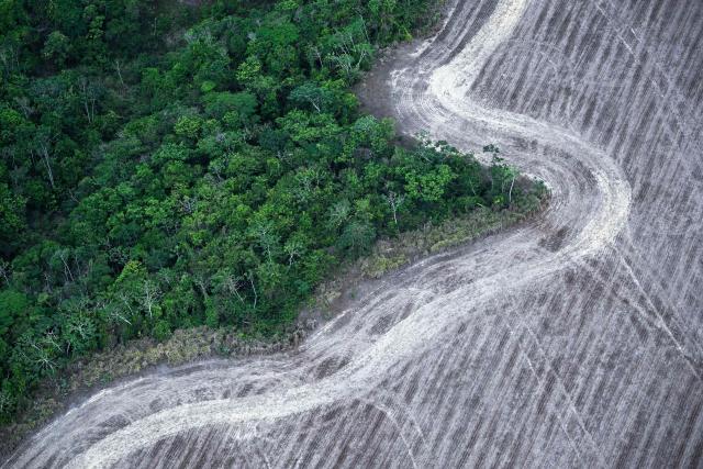 This aerial view shows a deforested area of the Amazon rainforest prepared for plantation in the surroundings of Belem, Para State, Brazil, on November 12, 2025, during the COP30 UN Climate Change Conference. (Photo by Mauro PIMENTEL / AFP)