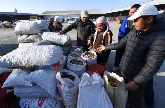 People buy and sell walnuts at a bazaar in the village of Bazar-Korgon in Kyrgyzstan's Jalal-Abad region, some 700kms from the capital Bishkek, on October 23, 2025. Rustling through fallen golden leaves, locals in a forest outside Arslanbap in the Kyrgyz mountains were scurrying for walnuts -- an ancient pastime and economic lifeline for many in the region. But the forest, the world's largest wile walnut grove, has for years been slowly fading -- hit by the overgrazing of livestock, illegal logging and rising temperatures. (Photo by VYACHESLAV OSELEDKO / AFP)