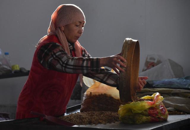 Zhazgul Omurzakova, 47, sells walnuts at a bazaar in the village of Bazar-Korgon in Kyrgyzstan's Jalal-Abad region, some 700kms from the capital Bishkek, on October 23, 2025. Rustling through fallen golden leaves, locals in a forest outside Arslanbap in the Kyrgyz mountains were scurrying for walnuts -- an ancient pastime and economic lifeline for many in the region. But the forest, the world's largest wile walnut grove, has for years been slowly fading -- hit by the overgrazing of livestock, illegal logging and rising temperatures. (Photo by VYACHESLAV OSELEDKO / AFP)