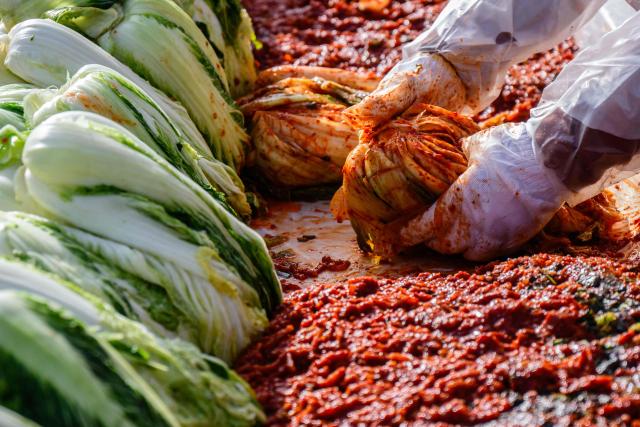Kimchi is made next to brined cabbages (L) during a kimchi making festival at Garak Market in Seoul on November 17, 2025. (Photo by ANTHONY WALLACE / AFP)