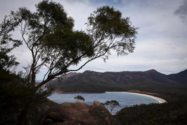 This picture taken on November 5, 2025 shows Wineglass Bay at Freycinet Peninsula in Tasmania’s Freycinet National Park. (Photo by DAVID GRAY / AFP)