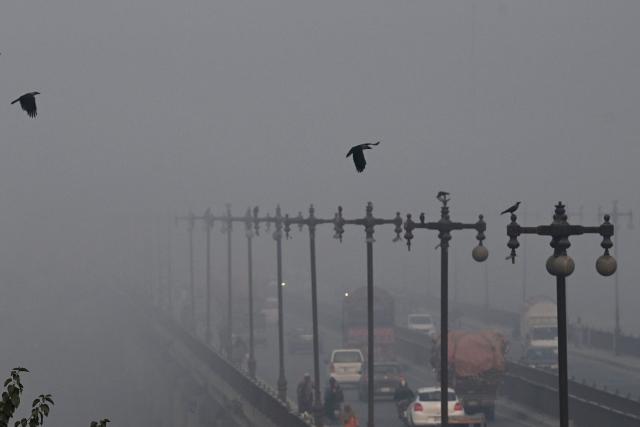 Vehicles move along a road amid dense smog in Lahore on November 21, 2025. (Photo by Arif ALI / AFP)