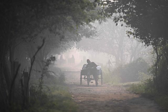 A man pushes his three-wheeler cart as he moves along a path on a smoggy winter morning in New Delhi on November 21, 2025. (Photo by Arun SANKAR / AFP)