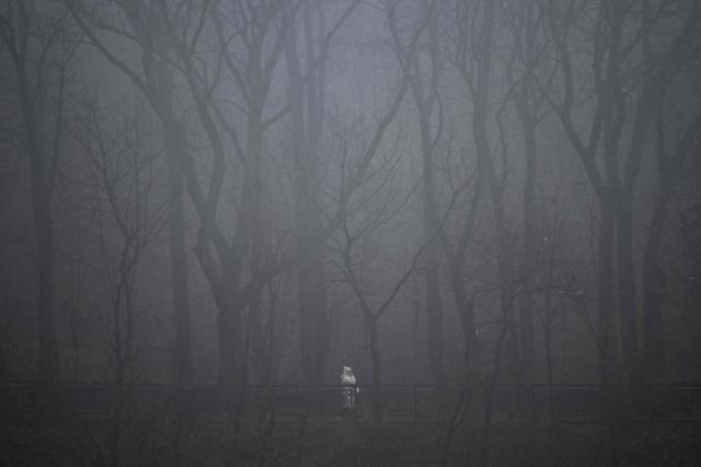A woman walks in a park during a foggy day in Kyiv on November 21, 2025, amid the Russian invasion of Ukraine. (Photo by Sergei GAPON / AFP)