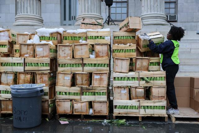 A volunteer moves a box of corn during a Thanksgiving food distribution event outside of Brooklyn Borough Hall on November 21, 2025 in New York City. Fresh produce, non-perishables and other food items were handed out to 125 Brooklyn houses of worship, community kitchens and other community-based organizations addressing food insecurity and homelessness. (Photo by ANGELA WEISS / AFP)