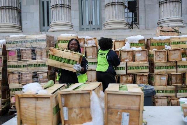 A volunteer moves a box of corn during a Thanksgiving food distribution event outside of Brooklyn Borough Hall on November 21, 2025 in New York City. Fresh produce, non-perishables and other food items were handed out to 125 Brooklyn houses of worship, community kitchens and other community-based organizations addressing food insecurity and homelessness. (Photo by ANGELA WEISS / AFP)