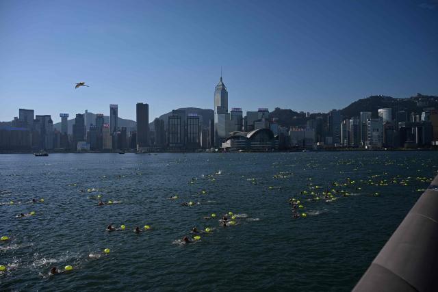 Participants take part in the Harbour Race, where swimmers cross Hong Kong's Victoria Harbour, in the city on November 22, 2025. (Photo by Peter PARKS / AFP)