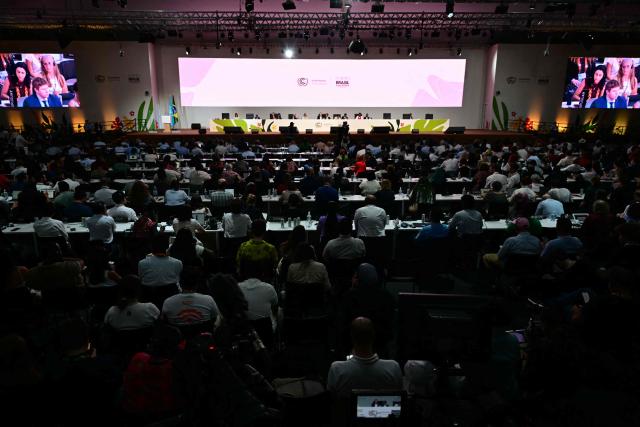 General view during the plenary session at the COP30 UN Climate Change Conference in Belem, Para state, Brazil, on November 22, 2025. A proposed final deal for the UN climate talks omits any direct mention of phasing out fossil fuels, as demanded by the EU and many countries, according to the text published Saturday after two weeks of fraught negotiations. The draft, which must be approved by consensus by nearly 200 nations, calls on developed countries to "at least triple" financing to help poorer nations adapt to the impacts of climate change. (Photo by Pablo PORCIUNCULA / AFP)