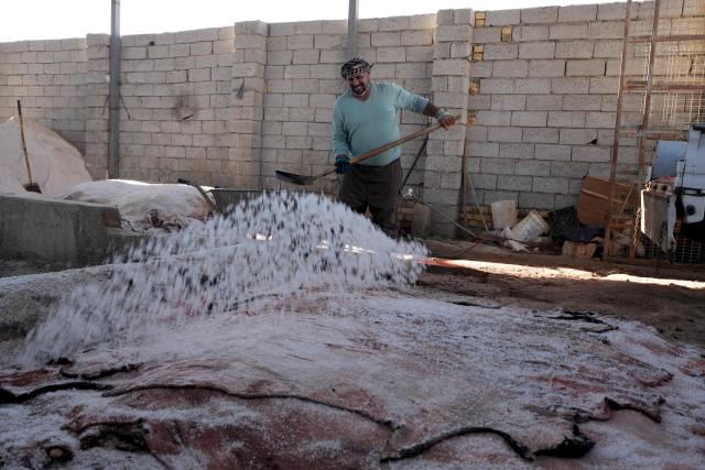 An animal hide at a tannery is covered in salt extracted from Lake Najaf or Bahr Al-Najaf (Najaf Sea), an inland lake in southern Iraq, some 10 kilometers southwest of the Iraqi city of Najaf on November 22, 2025. Known as the Najaf Sea, the inland lake has lost more than 10,000 acres of its surface water according to local environmentalists. The waters, once one of the most important water resources in central Iraq, is deteriorating reflecting a broader pattern of water scarcity driven by upstream damming, climate change, and reduced rainfall. (Photo by Qassem al-KAABI / AFP)