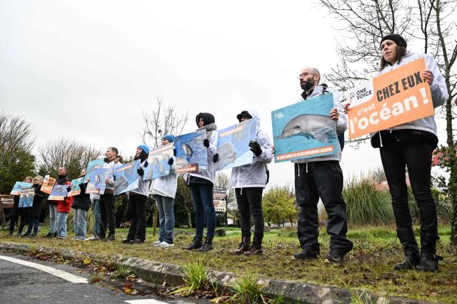Activists from the French animal rights NGO One Voice hold placards front of the Planete Sauvage park to protest against the transfer of its 11 dolphins to Beauval Zoo and call for an end to dolphin captivity, at Port-Saint-Pere, western France, on November 23, 2025. (Photo by Sebastien Salom-Gomis / AFP)