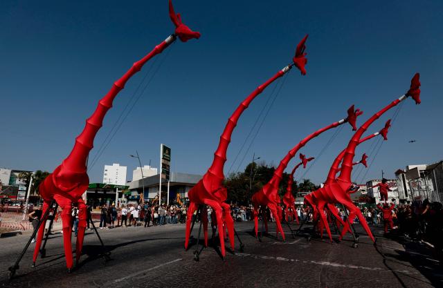 Artists perform amid giant giraffe puppets during the French street theatre group Compagnie OFF’s “Les Girafes – Operette Animaliere” in Guadalajara, Jalisco, Mexico on November 23, 2025. The show, a blend of opera, circus arts, dance, and performance, was presented as part of the Late 2025 Festival of Cultura GDL, which took place in the streets of Guadalajara. (Photo by ULISES RUIZ / AFP)