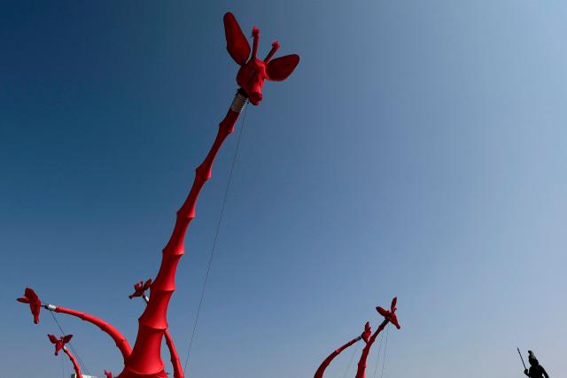 This view shows giant giraffe puppets during the French street theatre group Compagnie OFF's “Les Girafes - Operette Animaliere” in Guadalajara, Jalisco, Mexico on November 23, 2025. “Les Girafes – Operette Animaliere,” a show blending opera, circus arts, dance, and performance art, was presented as part of the late-2025 Festival de Cultura GDL, which took place in the streets of Guadalajara. (Photo by ULISES RUIZ / AFP)