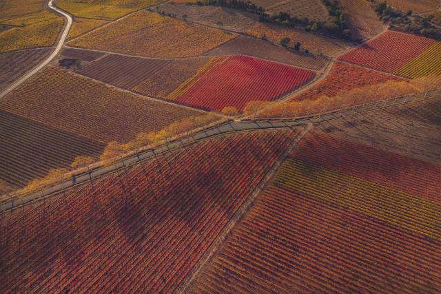 (FILES) This aerial view shows a road crossing a vineyard in Camplong-d'Aude, southwestern France, on November 10, 2025. France's Agriculture Ministry announces a "national crisis exit plan" for the wine sector, including Ђ130 million for vine uprooting, and calls on Brussels to activate "the European crisis reserve", on November 24, 2025. (Photo by IDRISS BIGOU-GILLES / AFP)