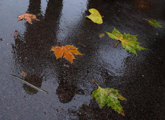 A walking couple reflects on a wet sidewalk on a rainy day at Christmas market at Charles’ square (Karlsplatz) in Vienna, Austria on November 25, 2025. A recent cold wave brought rain, snow and sub zero temperatures to the Austrian capital. (Photo by Joe Klamar / AFP)