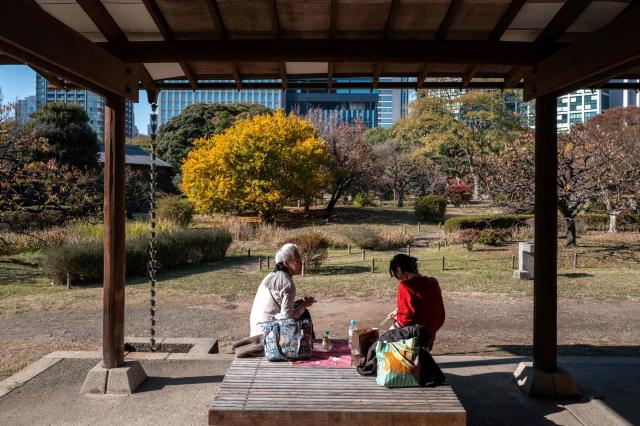 People rest in Hamarikyu Gardens in Tokyo on November 26, 2025. (Photo by Philip FONG / AFP)