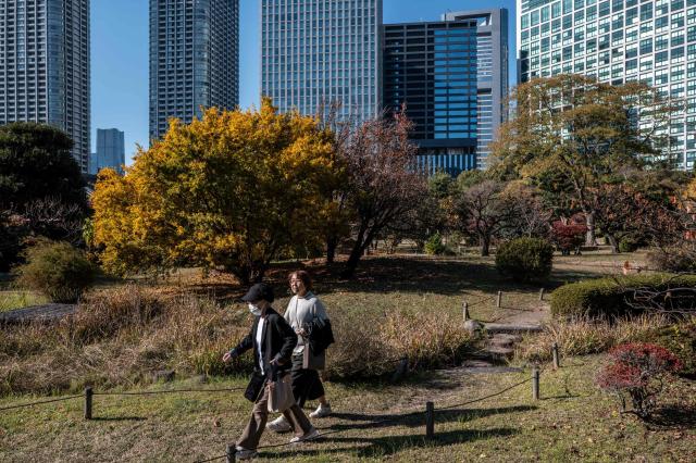 People visit Hamarikyu Gardens in Tokyo on November 26, 2025. (Photo by Philip FONG / AFP)