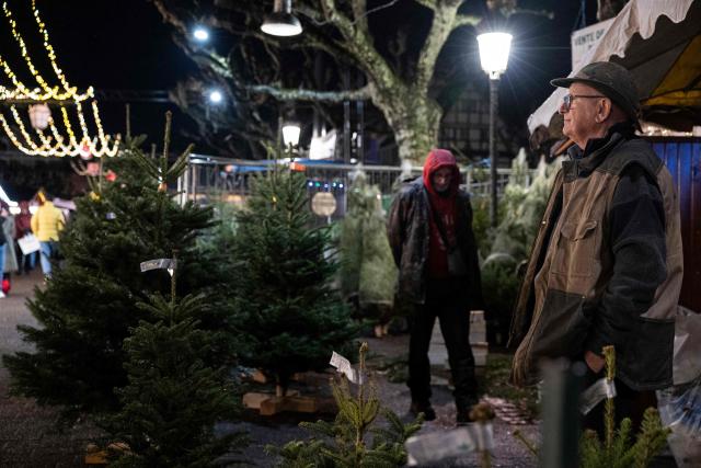 A Christmas tree vendor looks on during the Christmas market in Strasbourg, eastern France, on November 26, 2025. (Photo by ROMEO BOETZLE / AFP)