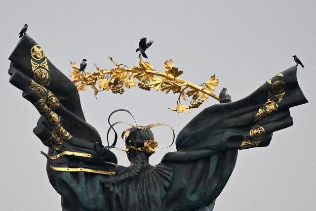 Birds are perched on the Independence Monument towering over Independence Square in Kyiv on November 27, 2025, amid the Russian invasion of Ukraine. (Photo by Sergei GAPON / AFP)