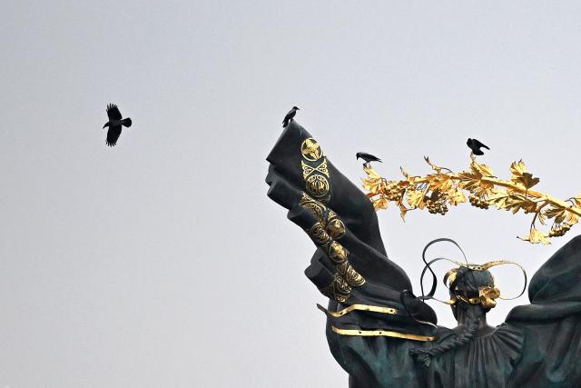 Birds are perched on the Independence Monument towering over Independence Square in Kyiv on November 27, 2025, amid the Russian invasion of Ukraine. (Photo by Sergei GAPON / AFP)