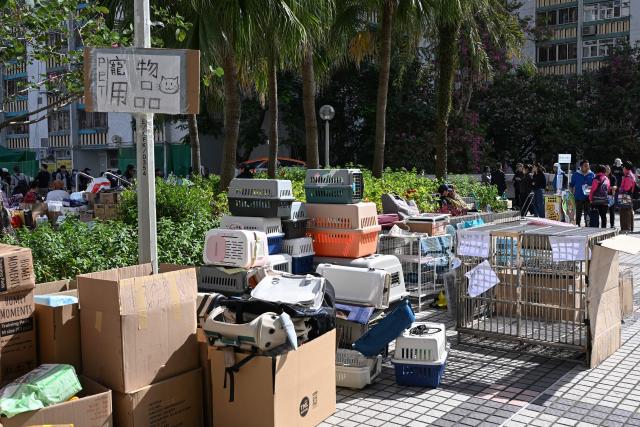 Boxes for pets are donated in the aftermath of a major fire that swept through several apartment blocks at the Wang Fuk Court residential estate in Hong Kong's Tai Po district on November 28, 2025. Firefighters searched the last of the housing estate flats torched by Hong Kong's worst fire in decades on November 28, with the death toll rising to at least 94 overnight and scores still missing. (Photo by Peter PARKS / AFP)