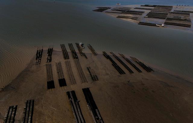 This aerial photograph shows oyster farmers handling pouches at an oyster bed located at the mouth of the River Seudre into the Atlantic Ocean off the coast of La Tremblade, southwestern France, on October 10, 2025. Oyster farming is one of the main activities in coastal Charente Maritime where over 3000 hectares of oyster parks are located. Dating back from the 17th century, oyster farming developed fast when salt marshes were abandoned with the end of the salt's monetary role and turned into shellfish farming areas. Along the River Seudre, oysters's refining takes place in "claires" or shallow oyster ponds where fine fattening is carried out over periods of around 15 days in basins where salinity is controlled. (Photo by Christophe ARCHAMBAULT / AFP)