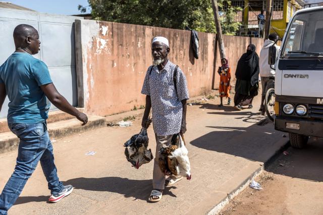 A man carries chickens at a market in Bissau, on November 28, 2025. Life limped back to normal on Friday in the capital of volatile Guinea-Bissau after the west African nation's fifth coup that came on the heels of presidential and parliamentary polls.
The military appointed General Horta N'Tam, the army's chief of staff, as the country's new leader for a transition period of one year after Wednesday's putsch. The takeover came just one day before authorities had been due to announce the provisional results of the November 23 polls. There were vehicles and taxis along the main road from the port of the seaside capital Bissau to the presidential palace, as well as pedestrians (Photo by PATRICK MEINHARDT / AFP)