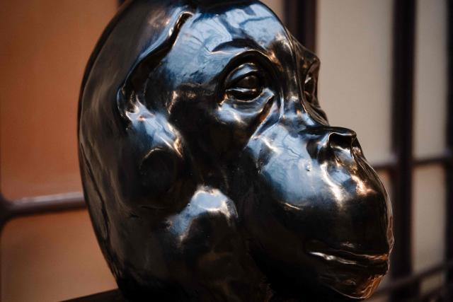 This photograph taken on November 28, 2025 in Paris shows a chocolate pastrie made by France's pastry chefs Frédéric Cassel and Christophe Morel displayed three days ahead of an auction of 25 grands chefs pastries for the benefit of the BAB Charity association, which works for the well-being and development of children with leukaemia who are hospitalised at the Armand Trousseau Hospital in Paris.

"25 pastry chefs commit to helping children", at Artcurial auction house in Paris. (Photo by Dimitar DILKOFF / AFP)