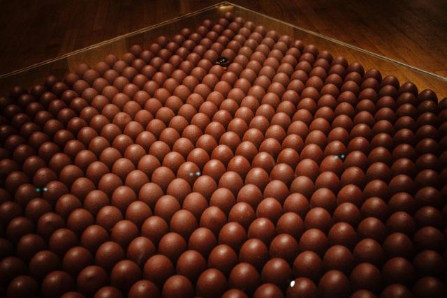 This photograph taken on November 28, 2025 in Paris shows a chocolate pastry made by France's pastry chef Pierre Herme displayed three days ahead of an auction of 25 grands chefs pastries for the benefit of the BAB Charity association, which works for the well-being and development of children with leukaemia who are hospitalised at the Armand Trousseau Hospital in Paris.

"25 pastry chefs commit to helping children", at Artcurial auction house in Paris. (Photo by Dimitar DILKOFF / AFP)