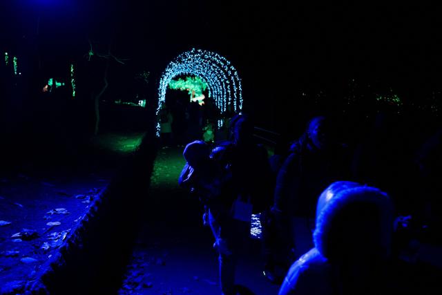 People visit the Smithsonian National Zoo during their holiday zoo lights exhibit November 28, 2025, in Washington, DC. (Photo by Brendan Smialowski / AFP)