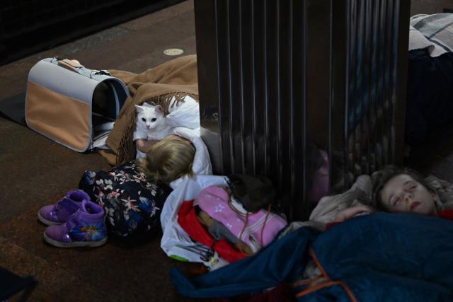 A woman pets her cat as she takes shelter at a metro station during an air attack in Kyiv on November 29, 2025, amid the Russian invasion of Ukraine. Loud explosions were heard in the Ukrainian capital Kyiv early on November 29, 2025, the mayor and AFP journalists said. (Photo by Sergei GAPON / AFP)