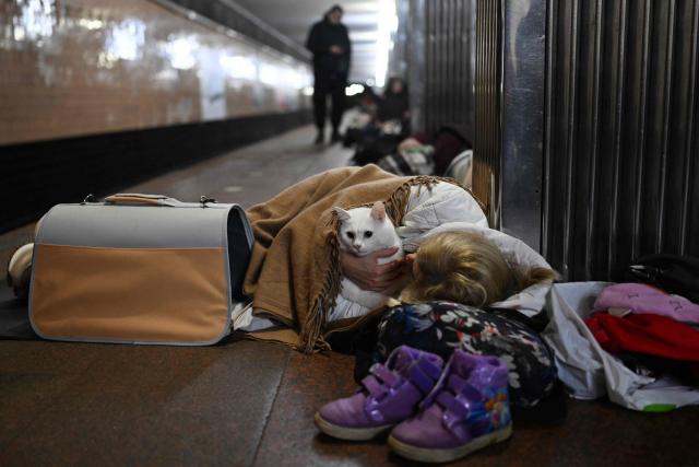 A woman pets her cat as she takes shelter at a metro station during an air attack in Kyiv on November 29, 2025, amid the Russian invasion of Ukraine. Loud explosions were heard in the Ukrainian capital Kyiv early on November 29, 2025, the mayor and AFP journalists said. (Photo by Sergei GAPON / AFP)
