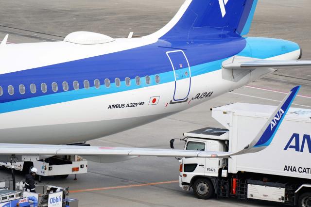 Japan's All Nippon Airways (ANA) Airbus A321neo passenger aircraft stands on the tarmac at Haneda Airport in Tokyo on November 29, 2025. Several airlines announced delayed or cancelled flights following an Airbus alert that up to 6,000 operational A320 family of aircraft may require upgrades. (Photo by Kazuhiro NOGI / AFP)