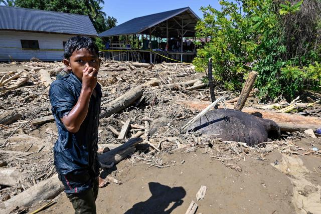 A boy reacts next to a dead Sumatran elephant buried in mud in a flood affected area in Meureudu, Pidie Jaya district in Indonesia's Aceh province on November 30, 2025. The death toll from floods that hit Indonesia this week has risen to more than 300 people, according to figures from the disaster agency on November 29. (Photo by CHAIDEER MAHYUDDIN / AFP)