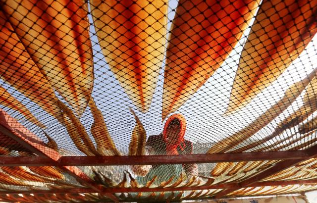 A woman dries and salts fish in Lianyungang, in China’s eastern Jiangsu province on November 30, 2025. (Photo by -STR / AFP) / China OUT