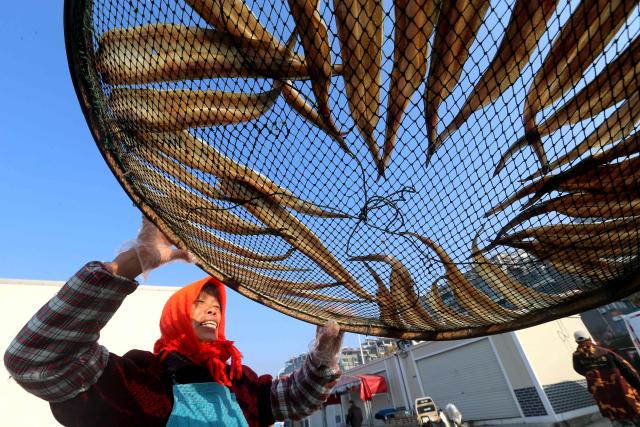 A woman dries and salts fish in Lianyungang, in China’s eastern Jiangsu province on November 30, 2025. (Photo by -STR / AFP) / China OUT