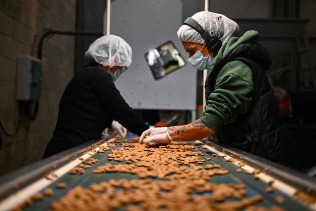 Employees check the quality of almonds in La Compagnie des Amandes factory in Brignoles, on November 17, 2025. (Photo by Christophe SIMON / AFP)